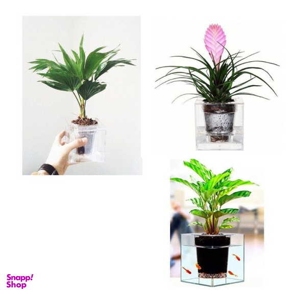 آکواریوم مدل گلدان مجموعه دو عددی