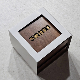 ساعت مچی عقربه ای مردانه اسکمی مدل 9069 plus japan movt