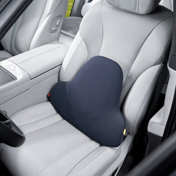 پشتی صندلی خودرو بیسوس مدل BS-CNO22