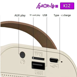 اسپیکر بلوتوثی قابل حمل مدل K12 به همراه دو میکروفون