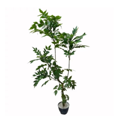 درختچه مصنوعی سرو کوهی کد 5724