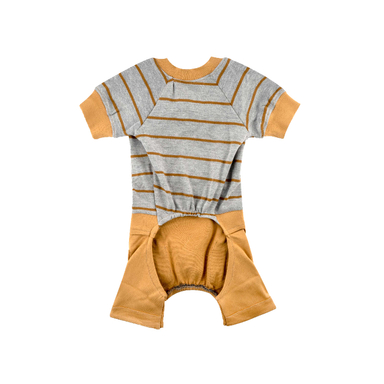 سرهمی سگ نر تادو طرح چارلی کد THC101