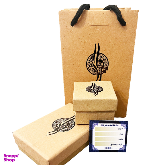 گوشواره نقره زنانه گیرا مدل G0690