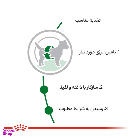 غذای خشک رویال کنین مدل مینی ادالت وزن 2000 گرم