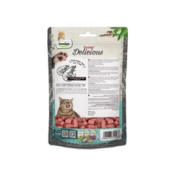 اسنک نیمه مرطوب گربه دنتالایت طعم میگو و کت نیپ وزن 50 گرم