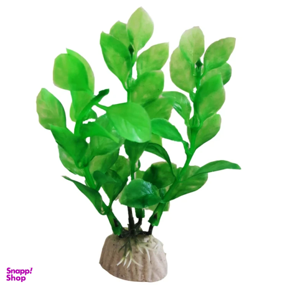 گیاه تزیینی آکواریوم کد 03