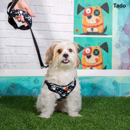 قلاده سینه ای سگ تادو کد C108 سایز M