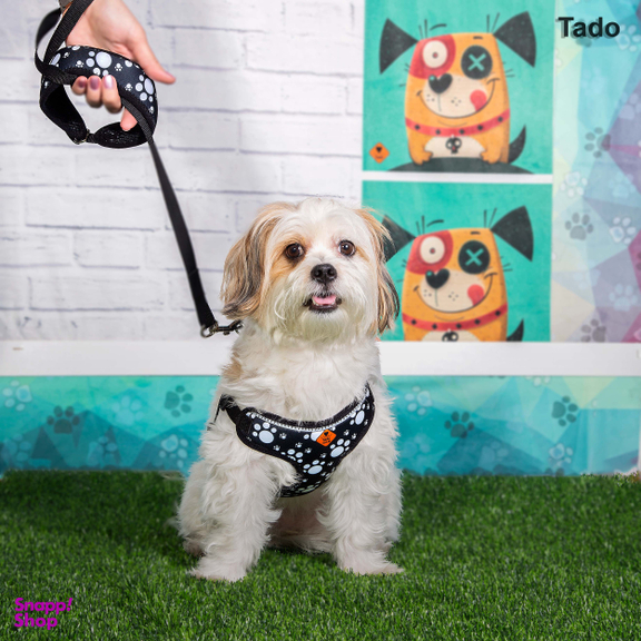 قلاده سینه ای سگ تادو کد C108 سایز M