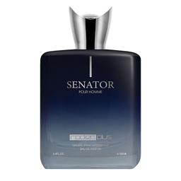 ادوپرفیوم مردانه رودیر مدل Senator