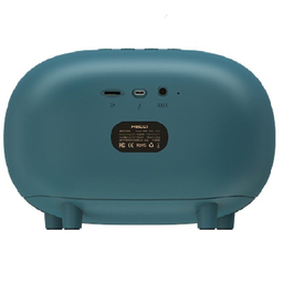 اسپیکر بلوتوثی رسی مدل RSK-W10