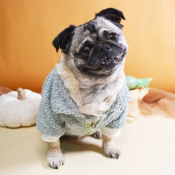 لباس سگ و گربه مدل 604 رنگ طوسی