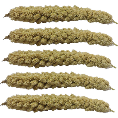 غذای پرندگان مدل ارزن خوشه ای ریز کد 10 بسته 100 عددی