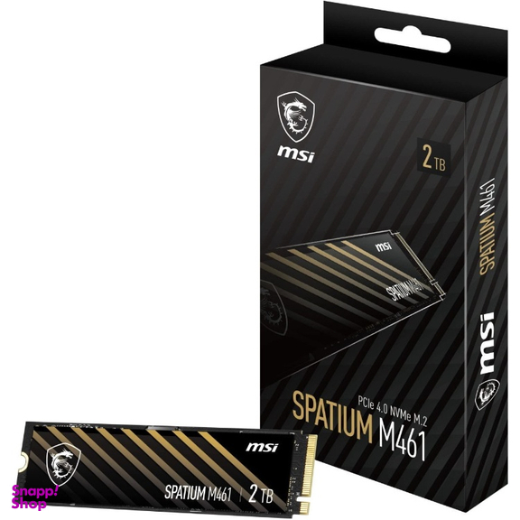 حافظه SSD ام اس آی مدل Spatium M461
