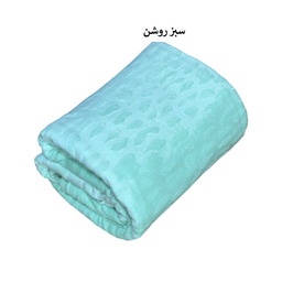 پتو مسافرتی شایسته مدل فایپکو اسکارلت مخمل سنگی سایز 155×205 سانتی متر