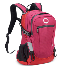 کوله پشتی دلسی مدل NOMADE کد 3335610