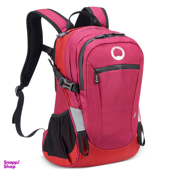 کوله پشتی دلسی مدل NOMADE کد 3335610