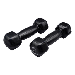 دمبل رکورد مدل 001 کد 1117 وزن 2 کیلوگرم بسته 2 عددی