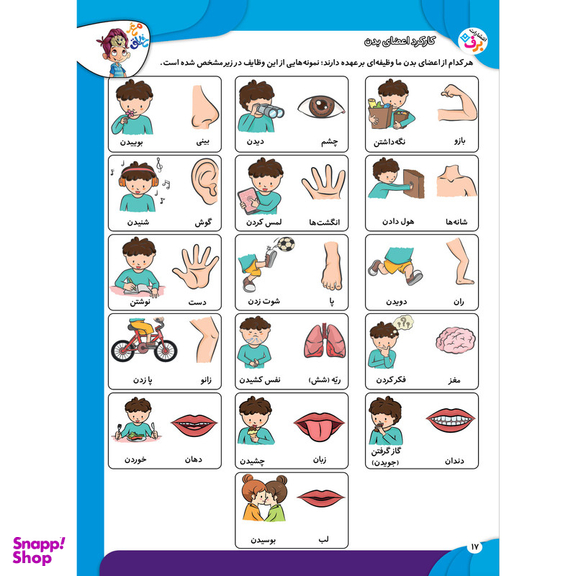 کتاب کار مغز خلاق مفاهیم ۱ میبینم، یاد میگیرم اثر فاطمه قدیانی و مهری عربیه انتشارات برف