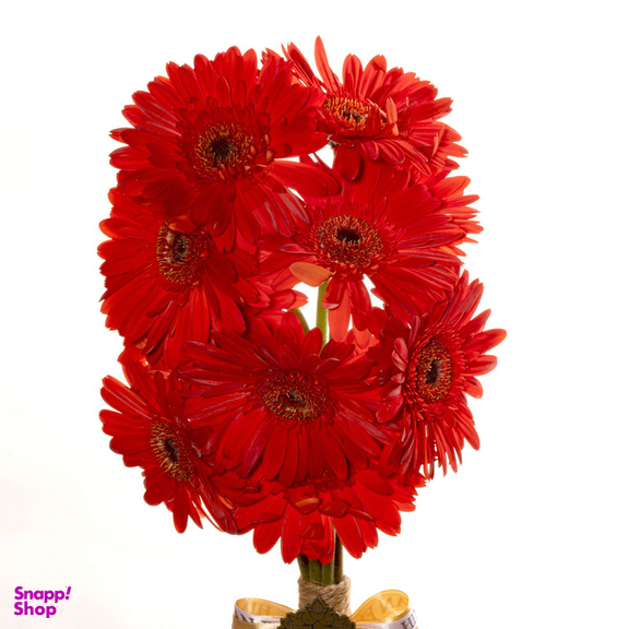 دسته گل طبیعی ژربرا قرمز هیمان کد 1116