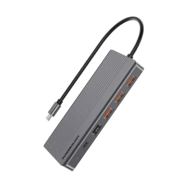 USB هاب مولتی پورت پاورولوژی مدل 13in1 Slim P131HBCGY