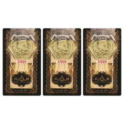 سکه گرمی پارسیان الن نار مدل EL9000 وزن 9 گرم - 3 عدد سکه 3 گرمی