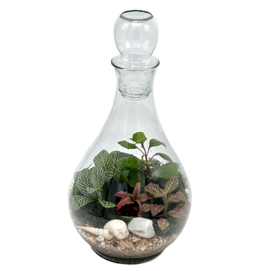 تراریوم مدل تنگ اسپانیا سایز بزرگ