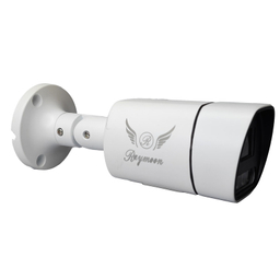 دوربین مداربسته تحت شبکه رایمون مدل 5 مگاپیکسل Q60 Network Surveillance