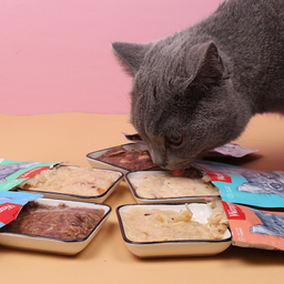 پوچ گربه ونپی با طعم مرغ و ماهی وزن 80 گرم