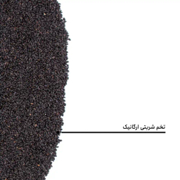 تخم شربتی ارگانیک بارجیل