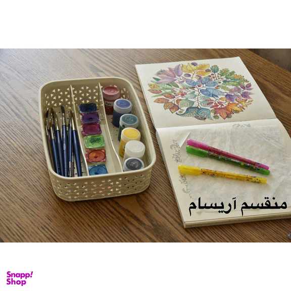 نظم دهنده آریاسام کد 105
