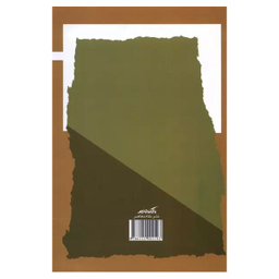 کتاب اسلام قاره آسیا اثر محمد شقرون نشر نگاه معاصر