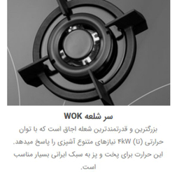 اجاق گاز صفحه ای استیل البرز مدل G-5954i