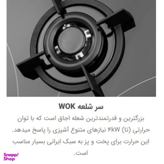 اجاق گاز صفحه ای استیل البرز مدل G-5954i