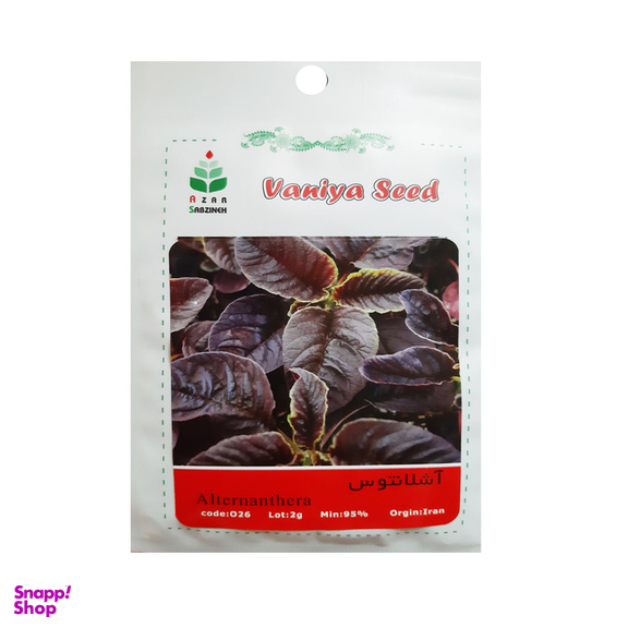 بذر آشلانتوس آذر سبزینه مدل O26