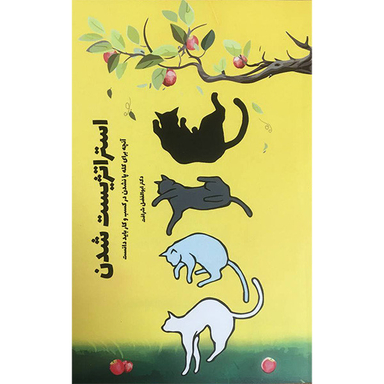 کتاب استراتژيست شدن اثر ابوالفضل شرافت انتشارات آدينه