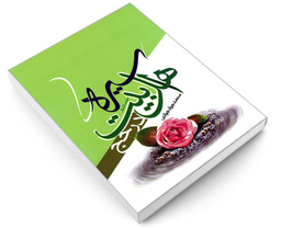 کتاب سیره اهل بیت (ع) در حج اثر محمدجواد جوادی نشر مشعر