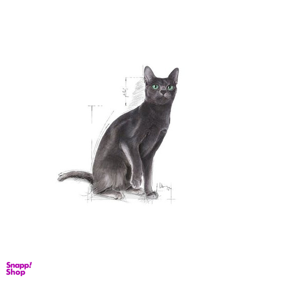 غذای خشک گربه رویال کنین مدل بالغ عقیم شده وزن 2 کیلوگرم