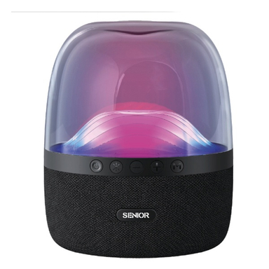 اسپیکر بلوتوثی قابل حمل کی اف-سنیور کد KF Senior R-810