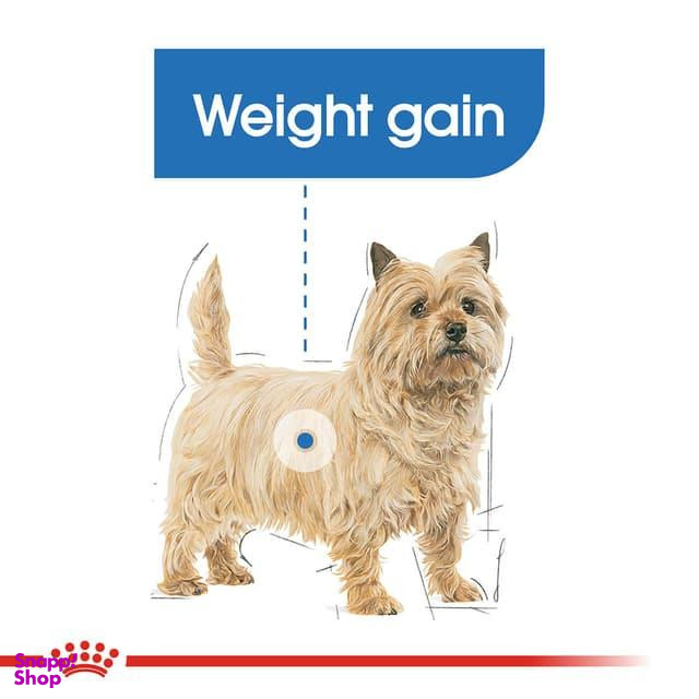 غذای خشک سگ رویال کنین مدل Mini Light Weight وزن 3 کیلوگرم