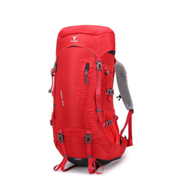 کوله پشتی 45+5 ليتری پکینیو مدل Summit
