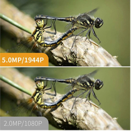 دوربین شلنگی مدل اتوفوکوس کد 5MegaPixel Full HD