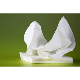 دستمال کاغذی 250 برگ فول تایم مدل گل دار بسته 8 عددی