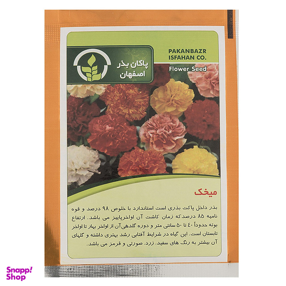 بذر گل میخک پاکان بذر