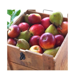 شمع وارمر ایکیا مدل SINNLIG_N بسته 30 عددی