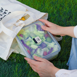 ظرف فریزری ویرو مدل ایزی لاک مستطیل 4 کد 204