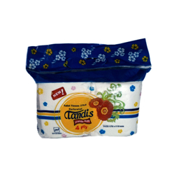 دستمال توالت تندیس بسته 2 عددی