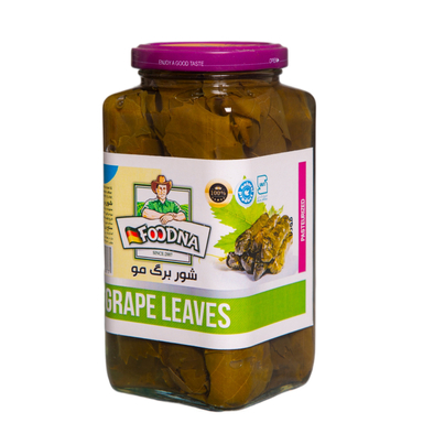 شور برگ مو فودنا وزن 630 گرم