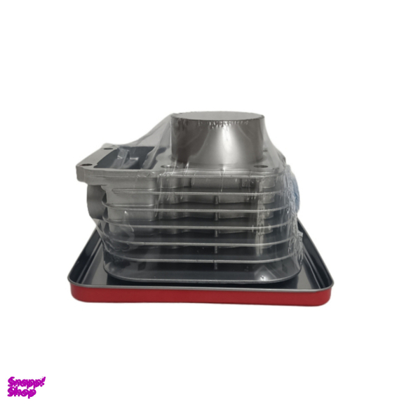 مجموعه سیلندر و پیستون موتور سیکلت راپیدو کد 125rp