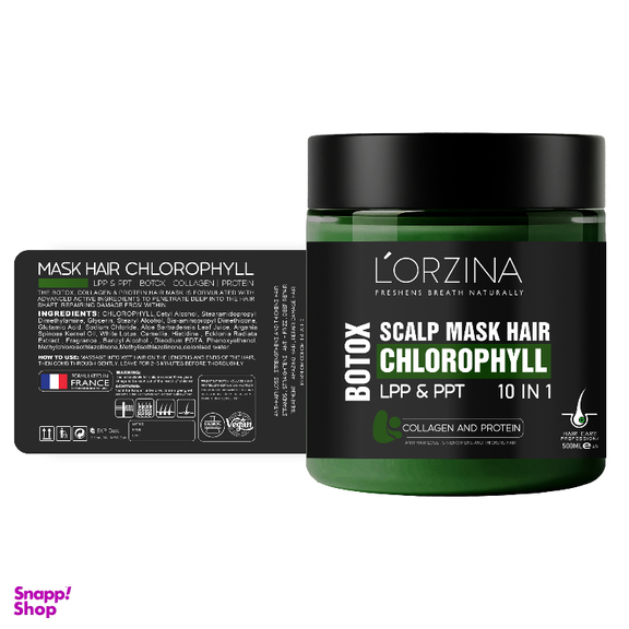 ماسک مو ترمیم کننده لورزینا مدل بوتاک LPP حجم 500 میلی لیتر