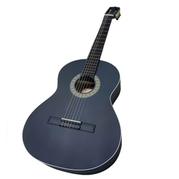 گیتار کلاسیک پارسی مدل M4